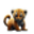 BabyBNBTiger