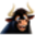 BULL